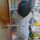 H1324 | 내돈내산) 10만원 초반대 4단 회전책장 리뷰 가성비 사각 4단 회전책장 추천