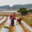 선향농장 이미지