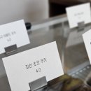보리얼커피