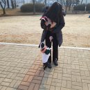 미스리햄버거 이미지