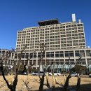 작은성 | 첫진료 후기, 아주대병원 성조숙증 키작은 아이 검사...진료 ! 아주대학교병원 성조숙증 키성장 검사...