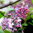 뮤직&바 이미지