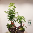 생활원예관리사 이미지