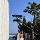 초록숲 하우스 이미지