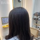 위드헤어 이미지