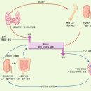 락스포츠 이미지