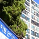 강남우리공인중개사사무소 이미지