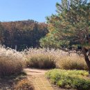 마치무릉도원 이미지