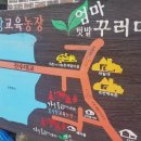호반로농장 네이버블로그