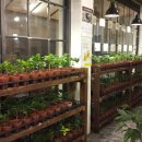 ㈜커피명가 라핀카 이미지