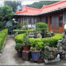 공룡민박 이미지