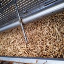 학진농장 이미지