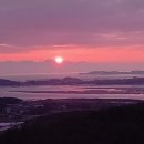 44 Daum카페