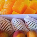 방가네농장 이미지