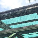 포은대로 이미지