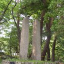 범어사로 이미지