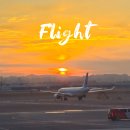 1179 | A330-300 좌석 배치 대한항공 비행기 프레스티지 일반석 추천 후기 KE1179