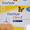 브런치앤숲