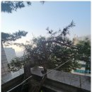 경기도 수원시 팔달구 세지로 294번길 이미지