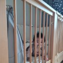 비아헨리 이미지