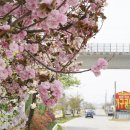 정빈의료재단 합덕아산병원 이미지