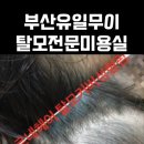 이마트24 사상괘법점 | final 완결편 (비포&amp;애프터 비교 분석) > 부산사상괘법사상역덕포덕천화명명지김해대저녹산하단엄궁주례