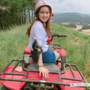 재준목장 이미지