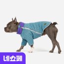 보니더펫 이미지