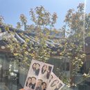 서촌데이트 / 영카이브 , 사이시옷 내돈내산