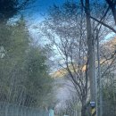 펜션궁 | 2026.4월 하동참좋은궁펜션