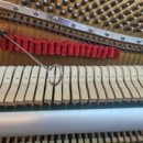 서울메네스음악학원 이미지