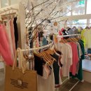 스타일노리터제주 - 55615 | 스타일노리터제주
