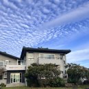 하도포시즌스 이미지