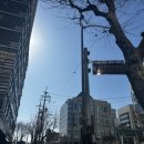 성심약국 | 강동성심병원 피부과 한달 동안 다녀본 후기