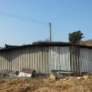 출포리 마을회관 이미지