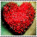 국제근육병장애인협회 이미지