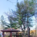 풍납공원 화장실 이미지