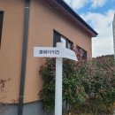 봄베이키친 이미지