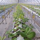 지희농장 이미지