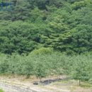 대구지방법원 영덕지원 이미지