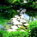 연못으로 이미지