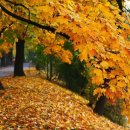 한글 문서 작성 이미지