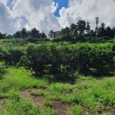 상예동-2 이미지