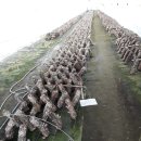 익상농장 이미지