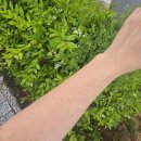 브라운에듀 | [후기] 24시 태닝샵 바디브라운 동탄점 방문 후기