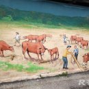 산청시장 이미지