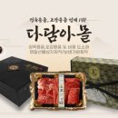 다담아몰