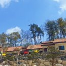 나훔펜션 이미지