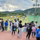 창기초등학교 이미지