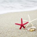 성북-돈암-2419 이미지